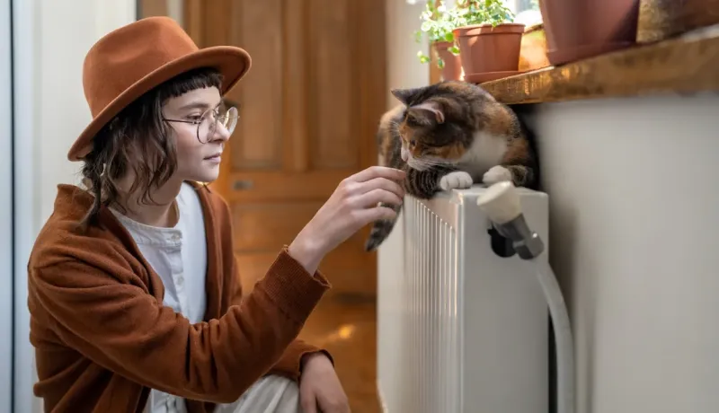 Jeune personne portant un chapeau marron caressant un chat tigré sur un radiateur près d'une fenêtre.