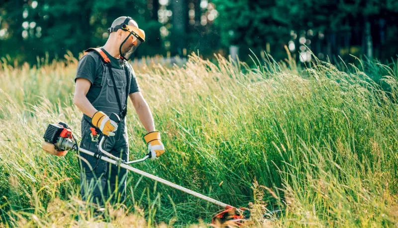 Jardinier portant un équipement de sécurité, coupant de hautes herbes avec une débroussailleuse en plein soleil.