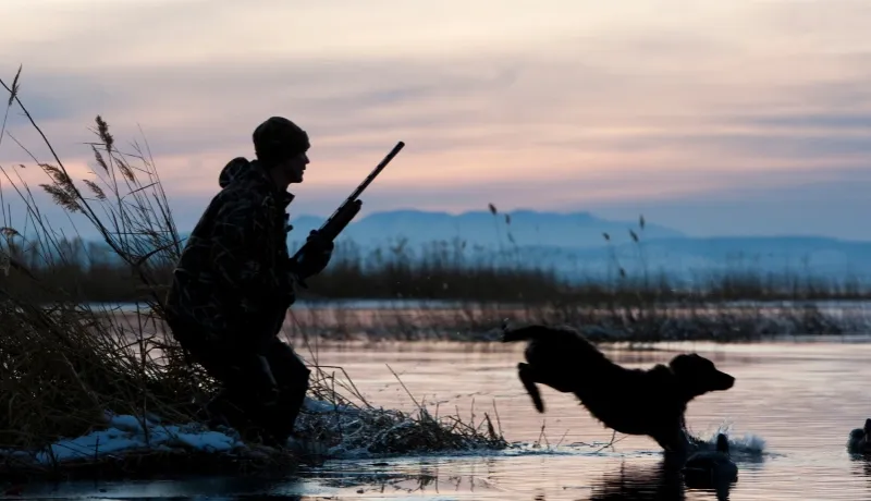Silhouette d'un chasseur avec son fusil et son chien dans une zone humide au lever du soleil.