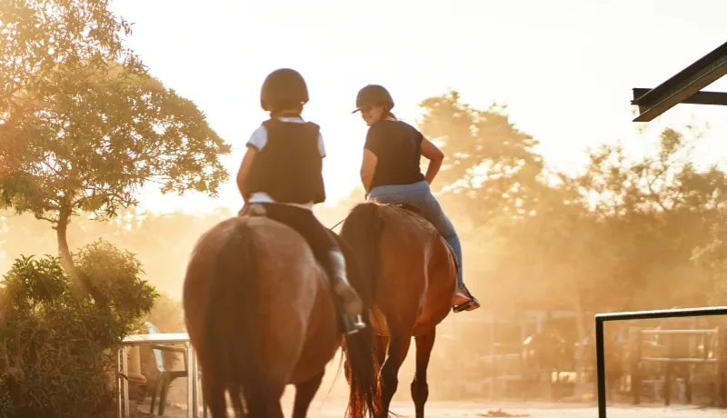 Deux cavaliers à cheval vus de dos, évoluant dans un centre équestre baigné par la lumière dorée du soleil couchant.