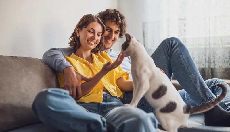 Un homme et une femme souriants sur un canapé, caressant un chat sur leurs genoux.
