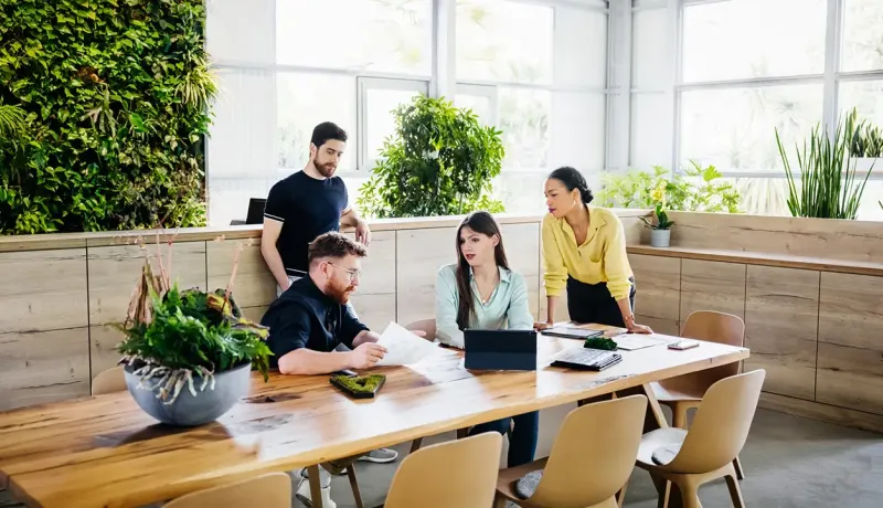 Une équipe de quatre personnes travaille ensemble dans un espace de coworking moderne, entouré de plantes.